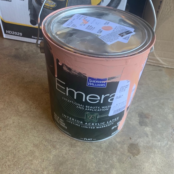 Paint - Picture 2 of 3